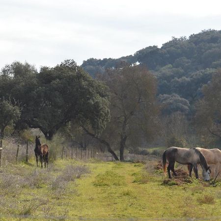 Herdade Ribeira De Borba Vila Vicosa  Exterior photo