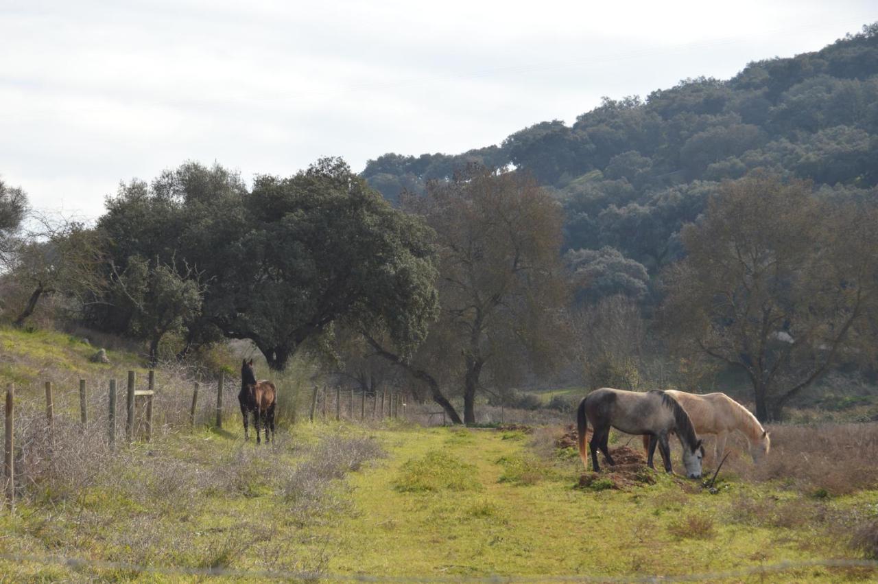 Herdade Ribeira De Borba Vila Vicosa  Exterior photo